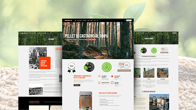 Progetto Marketing Castanea Pellet - Stratégie digitale