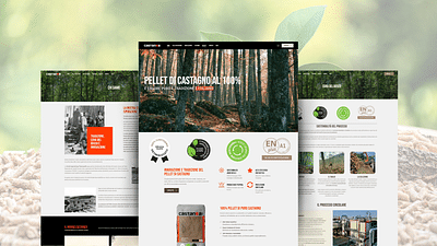 Progetto Marketing Castanea Pellet - Référencement naturel