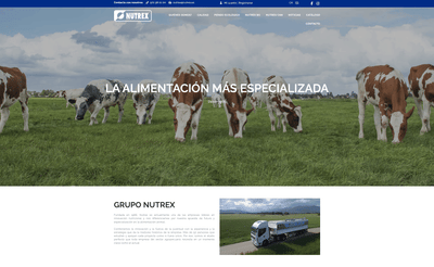Nutrex - Desarrollo web - Web Applicatie