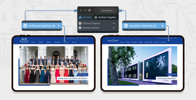 Relaunch von Typo3 auf WordPress mit MultiSite-System - Webseitengestaltung