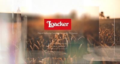 Loacker - Online Advertising