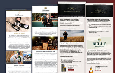 Geldermann B2C- und B2B-Newsletter - Website Creation