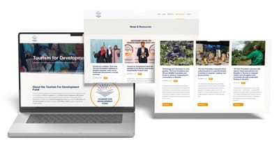 WordPress Website Development - TUI Care FoundationT - Website Creation