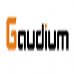 Gaudium