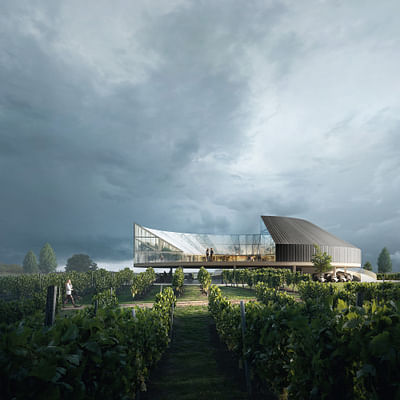 Tokaj Wine Region Visitor Center - 3D