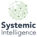 Systemic Intelligence