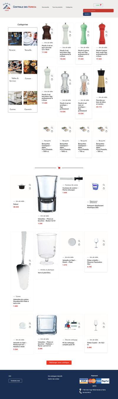 Création de site e-commerce de 7080 produits - SEO