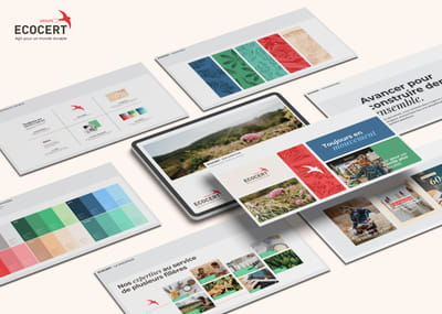 Ecocert | Enrichissement de l'identité graphique - Image de marque & branding