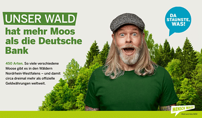 Kampagne: Wie man mit staunenswerten Fakten für den Wald begeistert - Social Media