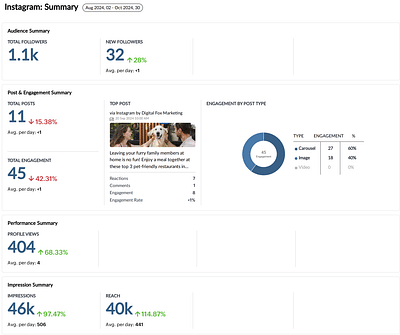 Social Media Management - Paws Gone Wild - Réseaux sociaux