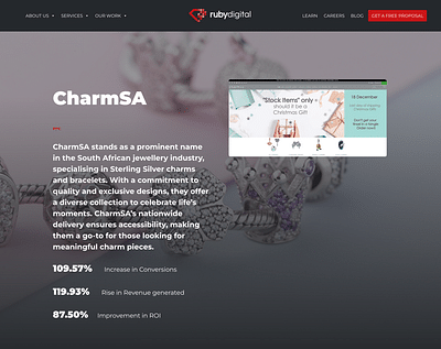 CharmSA (Google Ads) - Stratégie digitale