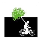 Barabino&Partners logo