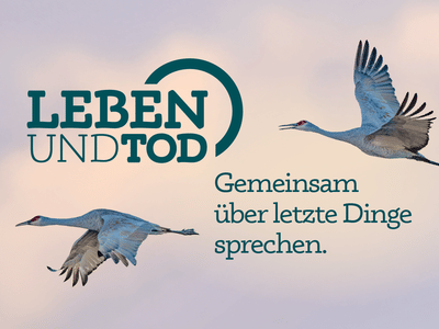 Leadagentur der LEBEN UND TOD - Web Application