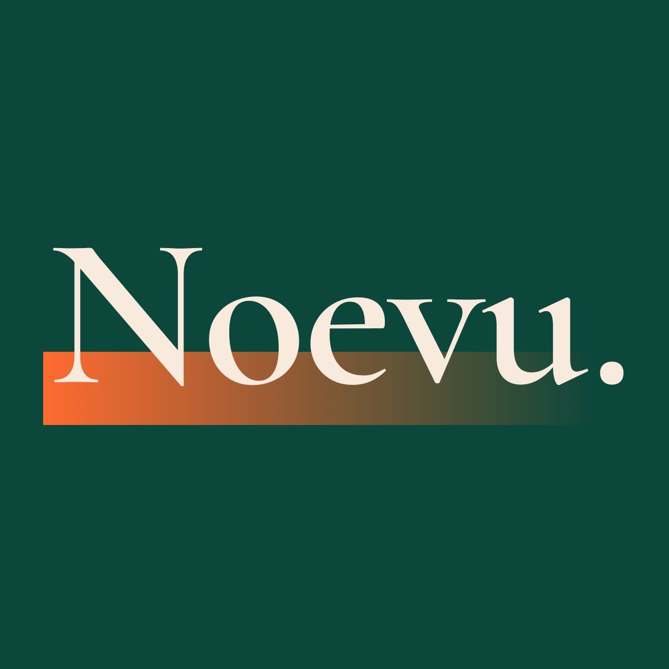 Noevu GmbH – Webdesign Agentur in Zürich – Webagentur für professionelles digitales Marketing