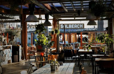 Succesvolle online marketing strategie voor strandtent Solbeach - SEO