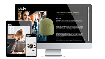 PSTV website design and development - Webanwendung