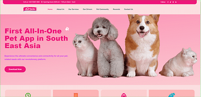 Southeast Asia Pet-App Website Designing - Branding & Positionering