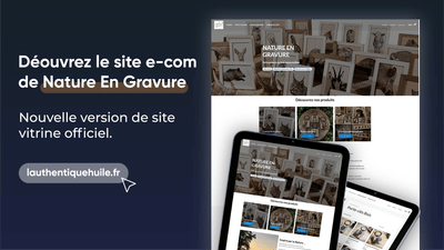 Nature en Gravure - Création de site internet