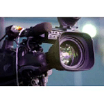 Dolphin Video Productions logo