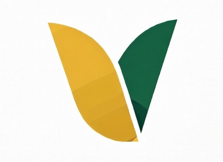 VedgeX Digital