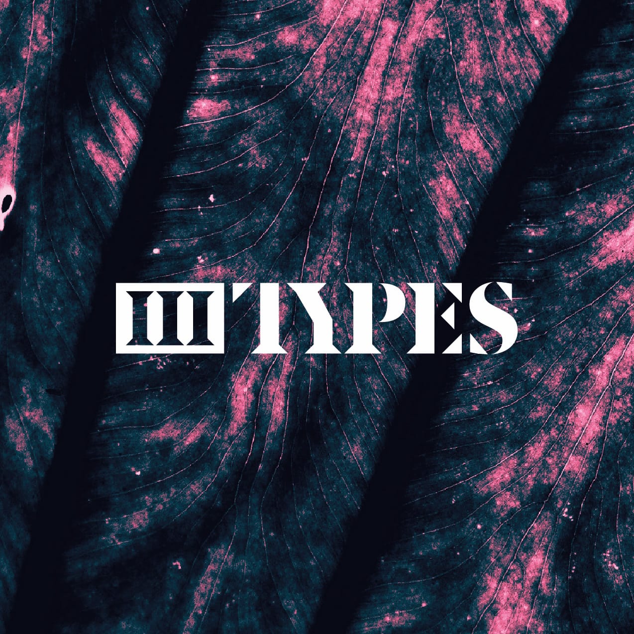 3Types Studio