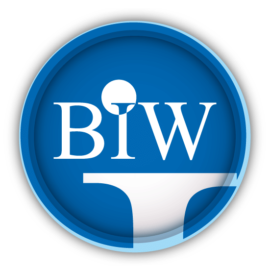 BIW Agency - Best Imaging Web