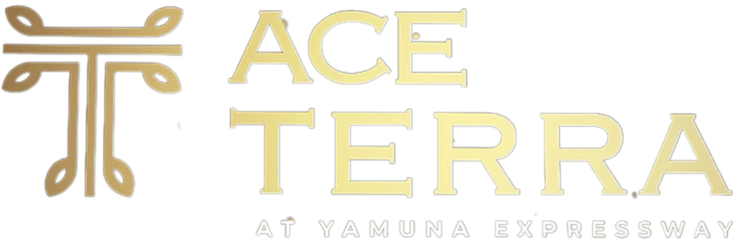ACE Terra
