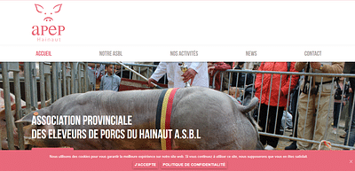 APEP - Création de site internet