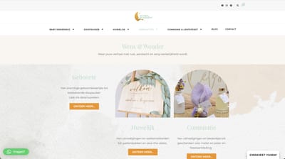 Online Advertentieplan voor Wens en Wonder - Réseaux sociaux
