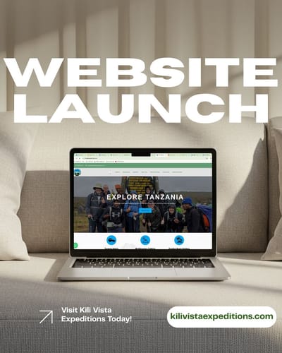 Kili Vista Website Design - Creación de Sitios Web