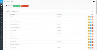Gestionale DDT e fatturazione integrato con Fatture in Cloud - Software Development