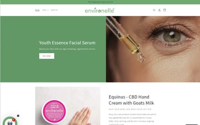 Shopify Website Build - Website Creation
