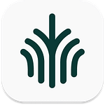 Intergrowth