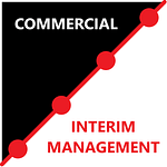 Commercial Interim Management logo