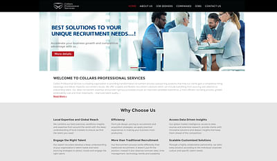 COLLARS PROFESSIONAL SERVICES RECRUITMENT DUBAI - Webseitengestaltung