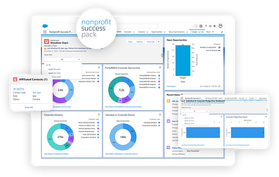 Salesforce NPSP Implementation - Data Consulting