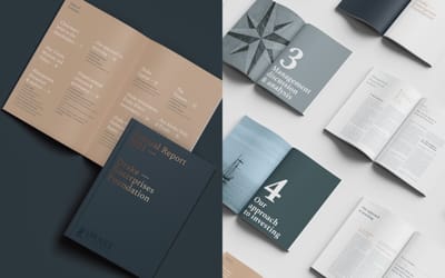 Drake Enterprises Foundation Annual report - Diseño Gráfico
