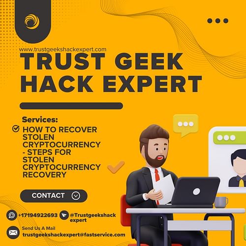 OPTIONS TO GET BACK HACKED, OR LOST CRYPTO ASSET // TRUST GEEKS HACK EXPERT cover