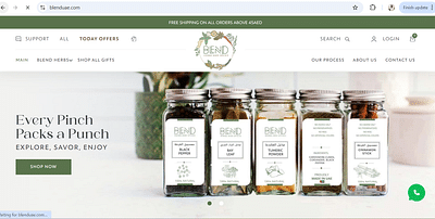 E-Commerce Website Development - E-commerce