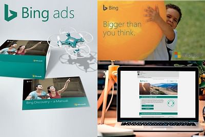 Bing Ads (Microsoft Advertising) - B2B CRM-Prog... - Webanalytik/Big Data