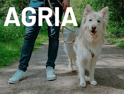 PR Agria Tierversicherung - Öffentlichkeitsarbeit (PR)