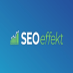 SEOEFFECT GmbH logo