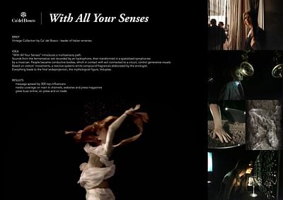 WITH ALL YOUR SENSES - Web Applicatie