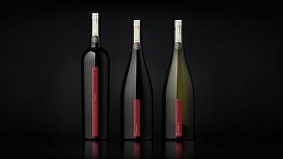 Single vineyard wine - Grafikdesign