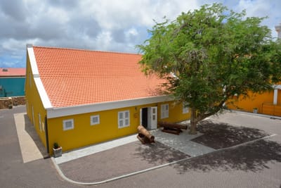 Rebranding Terramar Museum, Bonaire - Branding & Positionering