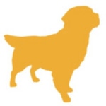 Gold Dog Communications