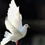 La Resistencia Contenidos Creativos