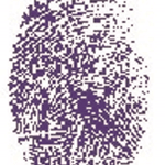 The Imagineering Company logo
