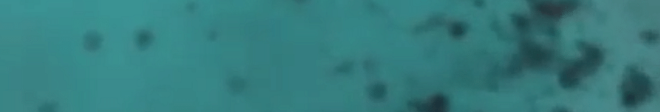 HOOPLAH cover