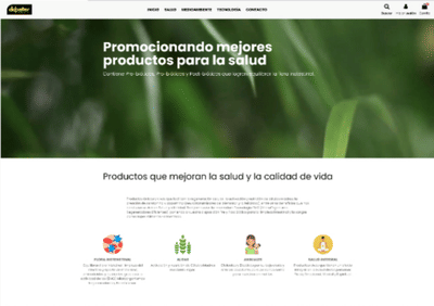Creación de Sitio web y Diseño Tienda Online - Creación de Sitios Web